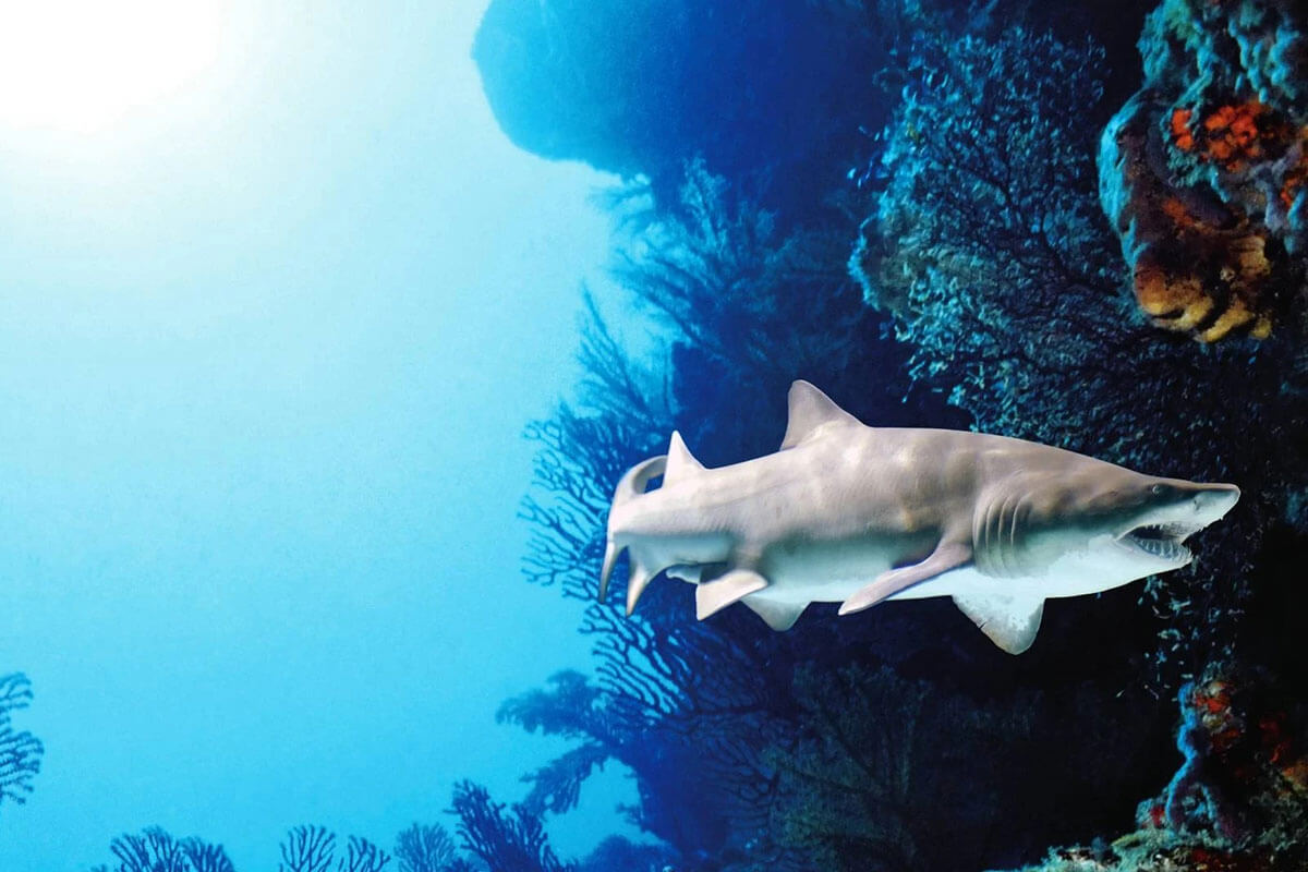 Aquaria KLCC