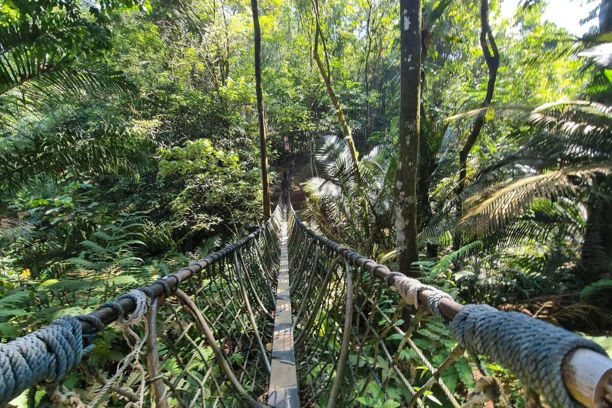 Bukit Gasing