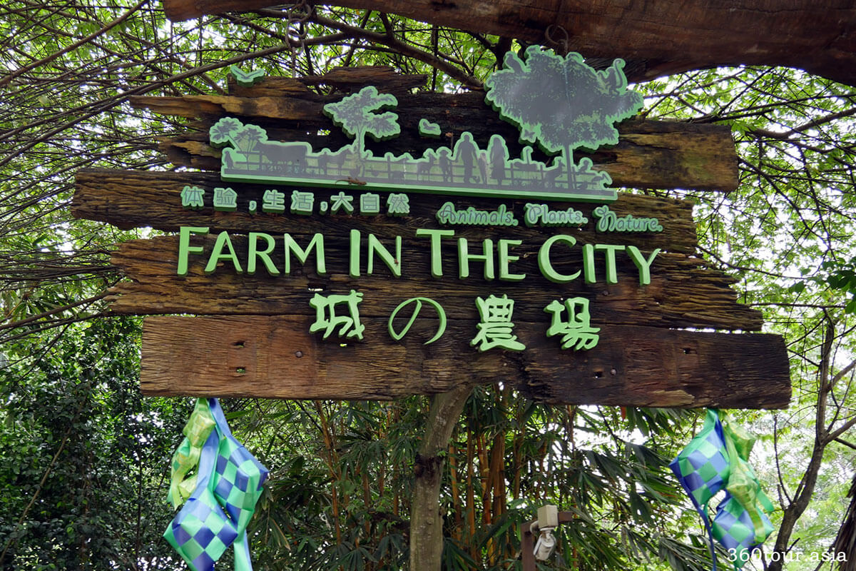 Farm in the City